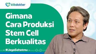 A-Z Tentang Stem Cell Therapy atau Terapi Sel Punca