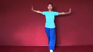 WUSHU TUTORIAL Outside Kick