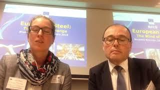 Katharina RECHBERGER - Conference European Steel The Wind of Change 31 January 2018