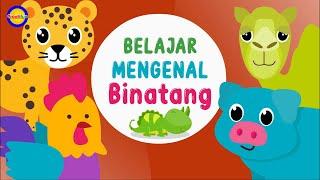 Belajar Mengenal Suara Binatang Lucu untuk Balita - Video Edukasi Anak Indonesia