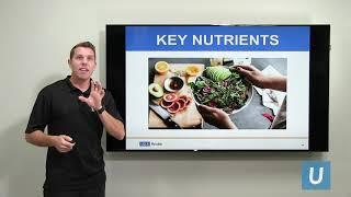 The Power of Nutrition  Luke Corey RD LDN  UCLAMDChat