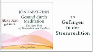 Gesund durch Meditation 20 Gefangen in der Stressreaktion - Hörbuch Jon Kabat Zinn