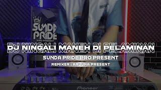 DJ NINGALI MANEH DI PELAMINAN  PARGOY  DJ SUNDA VIRAL 2024