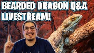 BEARDED DRAGON Q&A