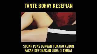 Tante Bohay Kesepian