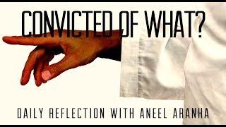 Daily Reflection With Aneel Aranha  John 165-11  May 28 2019