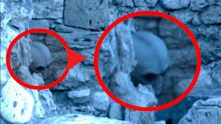 10 REAL Aliens Caught on Tape  The Best Alien Videos 