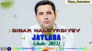 DIDAR HALDURDIYEW _ JAYLANA YANGI MUSIQA 2023