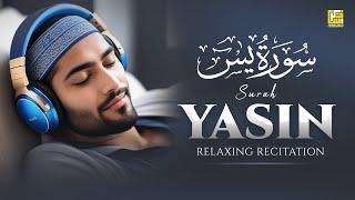 Surah Yasin Yaseen سورة يس  Relaxing heart touching voice  Zikrullah TV