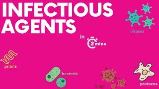 Infectious diseases in 2 minutes