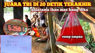 hoki ‼️ 20detik akhir nimpah TB1 umpan ikan mas babon #GP-112