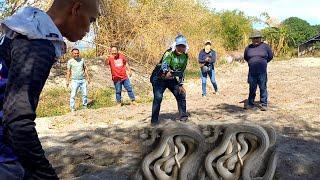 TATLONG COBRA SA FARM NI MAYOR SA BACOLOR PAMPANGA  JTG Kamandag