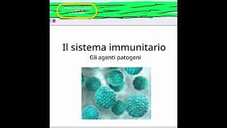 Il sistema immunitario approfondimenti di Scienze Vittoria B.