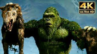 King Kong chased by a Pack Scene 4K Full Scene 2024 Godzilla x Kong Movie