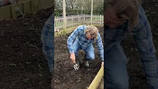 David Domoney How to weed using your hand fork