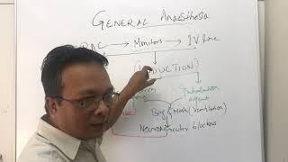 General AnaesthesiaIVintravenous induction agents and inhalational induction agentsoverview