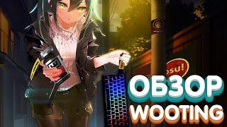 ИМБА ДЛЯ OSU? Wooting 60he ОБЗОР