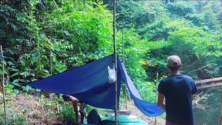 CAMPING FISHINGEPS 34MANCING DAN BERMALAM DI TENGAH HUTAN KALIMANTAN