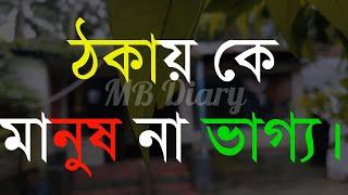 ঠকায় কে মানুষ না ভাগ্য-Life Changing Motivational Quotes Bengali  Monishider Bani Kotha By MB Diary