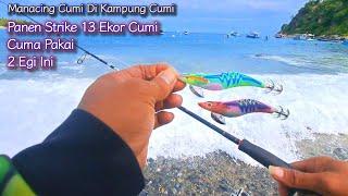 Mancing cumi pinggiran siang hari di kampung cumi panen strike cumi