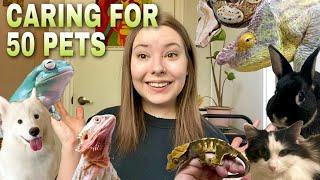 My Morning Pet Care Routine For 50 Pets  Vlog