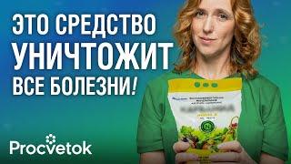 ОДНА ОБРАБОТКА ОСЕНЬЮ СПАСЕТ ОТ БОЛЕЗНЕЙ И ВРЕДИТЕЛЕЙ САДА Главные работы осенью в плодовом саду