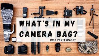 Whats in my CAMERA BAG? - Bird Photography Equipment - Jan Wegener Vlog