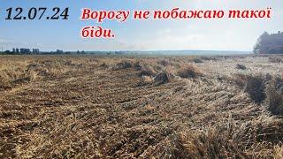 Буря з градом наробила бідиСоя побита пшениця вибита положенаЦей рік для аграріїв