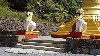 Why do Buddhist monks not eat after midday?