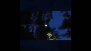 НЛО с прожектором прочесывает лес