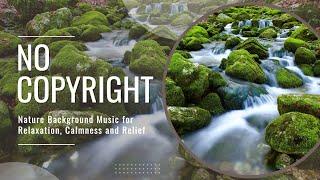 No Copyright Nature Background Music for Relaxation Calmness and Relief