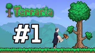 เกมประจำเดือนมิ.ย. Terraria #1