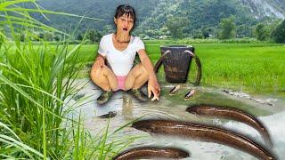 The girl came across a school of stranded fish and used a net to catch them and grill them to eat