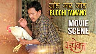 जोड गर जोड बुद्धि तामांग  Buddhi Tamang Comedy  Nepali Movie Scene  Panche Baja