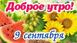 С добрым утромУспеха и отличного настроения Доброе утро Красивая открытка