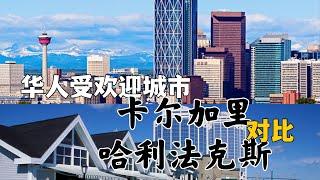 加拿大卡尔加里 Calgary 哈利法克斯 Halifax两大华人目前比较受欢迎的城市对比