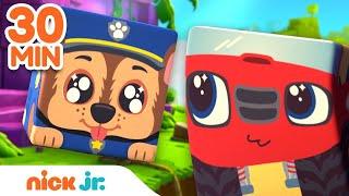 Block Party Treasure Hunt & More Adventures w PAW Patrol  30 Minute Compilation  Nick Jr.