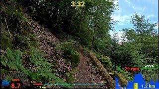 30 minute MTB Trail Indoor Cycling Workout Telemetry Display 4K Video