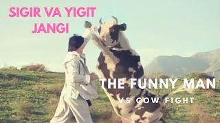 The Funny Man vs  Cow Fight HQ Sigir va Yigit jangi