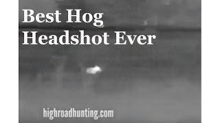 Best Hog Headshot Ever