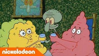 SpongeBob  Burenliefde  Nickelodeon Nederlands
