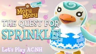 The Quest for Sprinkle Lets Play ACNH