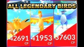 ALL LEGENDARY BIRD RAIDS COMPILATION IN POKEMON GO  ZAPDOS MOLTRES & ARTICUNO  7 LEGENDARY RAIDS