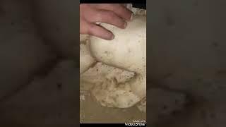 کشف مقبره اتاقکی بهمراه دفینه و تابوت مقبره ایی