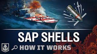 How it Works SAP Shells