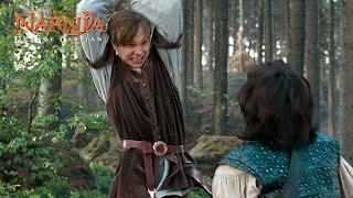 Peter Pevensie vs Prince Caspian - The Chronicles of Narnia Prince Caspian