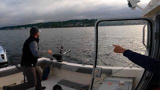 TROLLING Buzz Bombs for Salmon.  Quick limits.