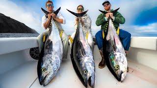 1000lbs of Most EXPENSIVE Tuna Catch Clean Cook Giant California Bluefin tuna