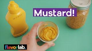 How to make mustard - from mustard seed to condiment