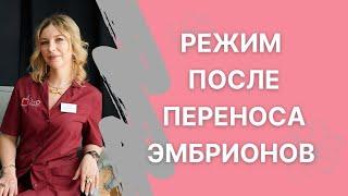 Как вести себя после переноса эмбрионов в программе ЭКО